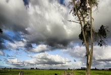 葡萄牙对阵冰岛的比分最终是多少？