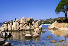 如何实现90分钟足球比分的免费调用？